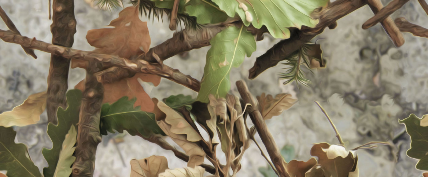Camo
